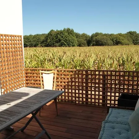 Villa Maison 150m² - Piscine Chauffee-proche Des Plages Bénesse-Maremne
